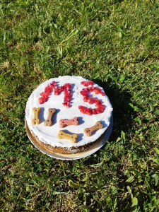 Čudovita pasja torta naše nove članice Sandre!