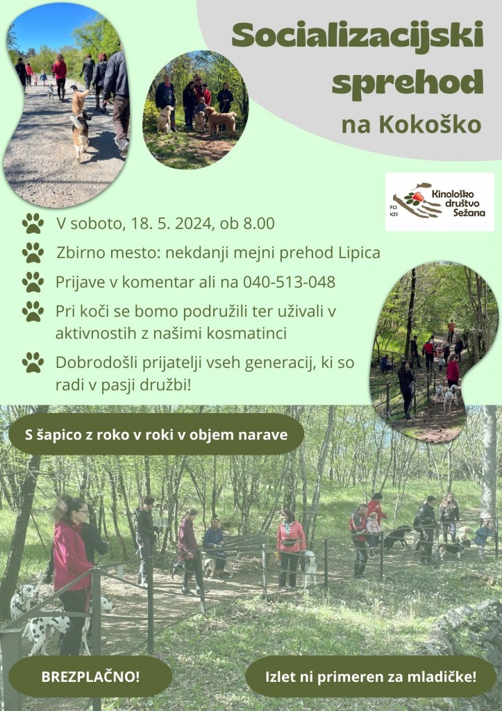 Socializacijski sprehod(1)