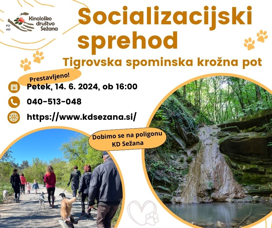 Socializacijski sprehod